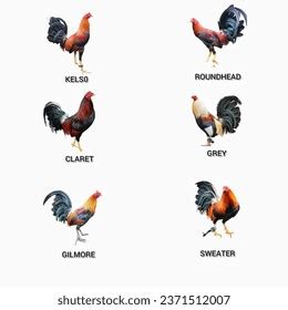 best gamefowl bloodline